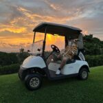 Asa Butterfield Instagram - Shortest week of my life. @fsnevis #FSnevis Four Seasons Resort Nevis, West Indies