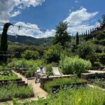 Asa Butterfield Instagram - I came back from Douro with a belly full of wine, tile paint on my hands and a big fat grin on my face. Also why aren’t there more Padel courts in London? Thank you @sixsensesdourovalley for the treat. Six Senses Douro Valley