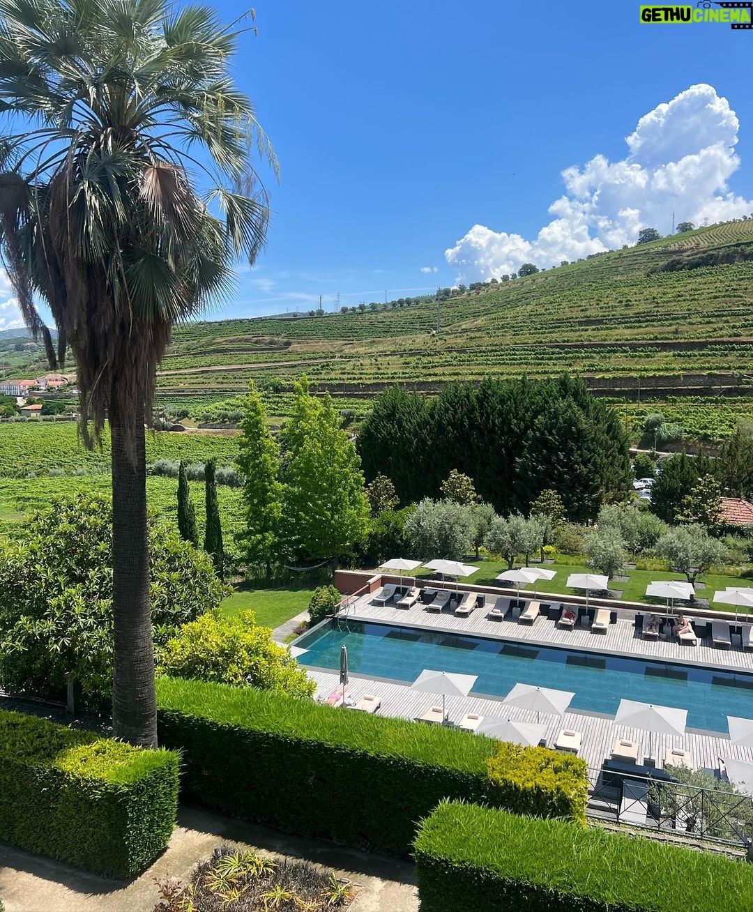 Asa Butterfield Instagram - I came back from Douro with a belly full of wine, tile paint on my hands and a big fat grin on my face. Also why aren’t there more Padel courts in London? Thank you @sixsensesdourovalley for the treat. Six Senses Douro Valley