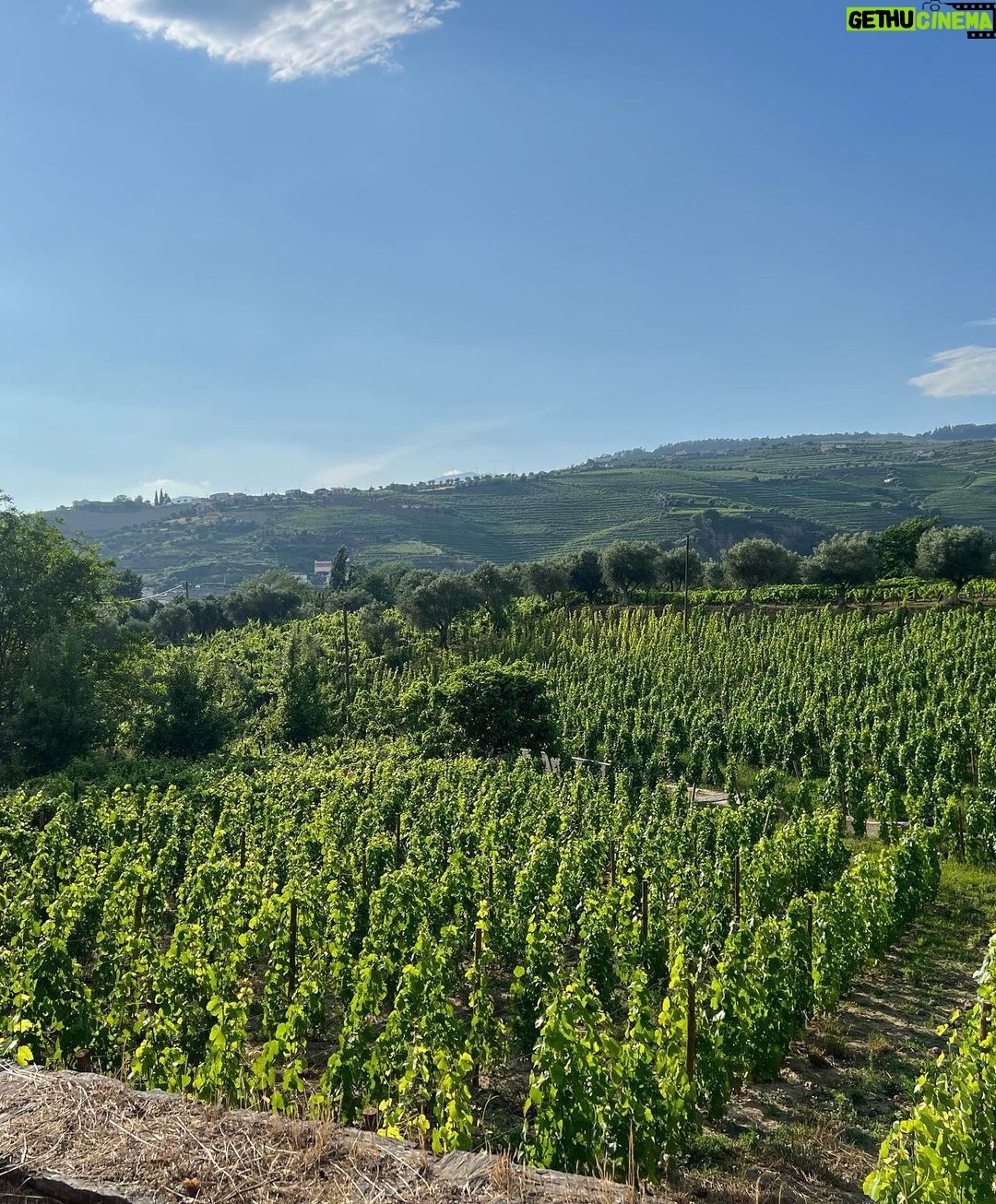 Asa Butterfield Instagram - I came back from Douro with a belly full of wine, tile paint on my hands and a big fat grin on my face. Also why aren’t there more Padel courts in London? Thank you @sixsensesdourovalley for the treat. Six Senses Douro Valley