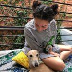 Ash London Instagram - Happy 12th birthday to my firstborn Queen. Thanks for taking care of Dad before I came along, for making me into a dog person, and mainly thankyou for not losing your mind when Buddy came along. We love you forever sweet Honey girl! The baddest bitch around! Long live Hunzo!!!! @honeydahound