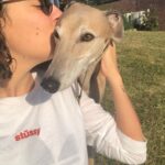 Ash London Instagram - Happy 12th birthday to my firstborn Queen. Thanks for taking care of Dad before I came along, for making me into a dog person, and mainly thankyou for not losing your mind when Buddy came along. We love you forever sweet Honey girl! The baddest bitch around! Long live Hunzo!!!! @honeydahound