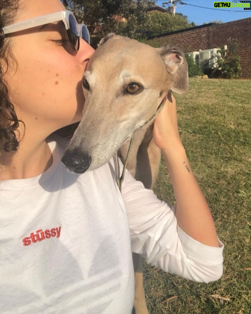 Ash London Instagram - Happy 12th birthday to my firstborn Queen. Thanks for taking care of Dad before I came along, for making me into a dog person, and mainly thankyou for not losing your mind when Buddy came along. We love you forever sweet Honey girl! The baddest bitch around! Long live Hunzo!!!! @honeydahound