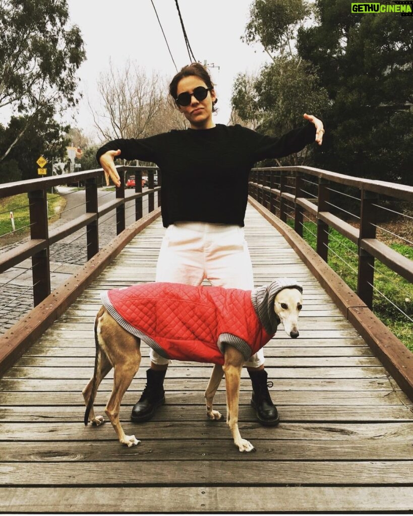 Ash London Instagram - Happy 12th birthday to my firstborn Queen. Thanks for taking care of Dad before I came along, for making me into a dog person, and mainly thankyou for not losing your mind when Buddy came along. We love you forever sweet Honey girl! The baddest bitch around! Long live Hunzo!!!! @honeydahound
