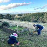 Ash London Instagram – Inspecting bugs. Digging holes. The afternoon of dreams! 

If anyone needs a measure and quote – Buddy is your guy. As slide four proves.