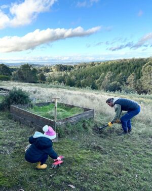 Ash London Instagram - Inspecting bugs. Digging holes. The afternoon of dreams! 

If anyone needs a measure and quote - Buddy is your guy. As slide four proves.