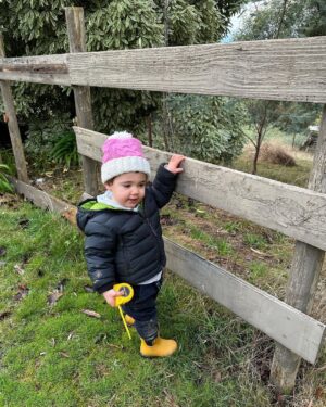 Ash London Instagram - Inspecting bugs. Digging holes. The afternoon of dreams! 

If anyone needs a measure and quote - Buddy is your guy. As slide four proves.