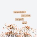 Ashika Yash Instagram - 🍂Confident and strong 🍂 She walks through light, but deep inside there's a vulnerability that sometimes leaves her emotional.🥠 Through the highs and lows of love she's learned to be grateful for the precious moments that touch the heart. 🤎 These experiences have helped her grow and discover herself in ways that make her equally strong and vulnerable, but also rich in emotional depth.🍂 Somewhere Under the Same Sky
