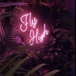 Ashika Yash Instagram - Fly high 🪶 And remember You are magic✨Don't apologise for the fire in you🔥 . . . P.c : Pinterest ✨ #Instagram #instagood #instadaily #instablog #instablogger #instaviral #instavlog #instavlogger #tollywood #kollywood #kollywoodcinema #kollywoodactress #tollywoodactress #tamilactress #tamilheroine #teluguheroine #teluguactress #chennaiagainstcaa #reelsindia #love #hope #viral #trending #kangal #eyes #love #model #chennaimodels #buddingartist #hariteck #ashikayash Fissou GiN's