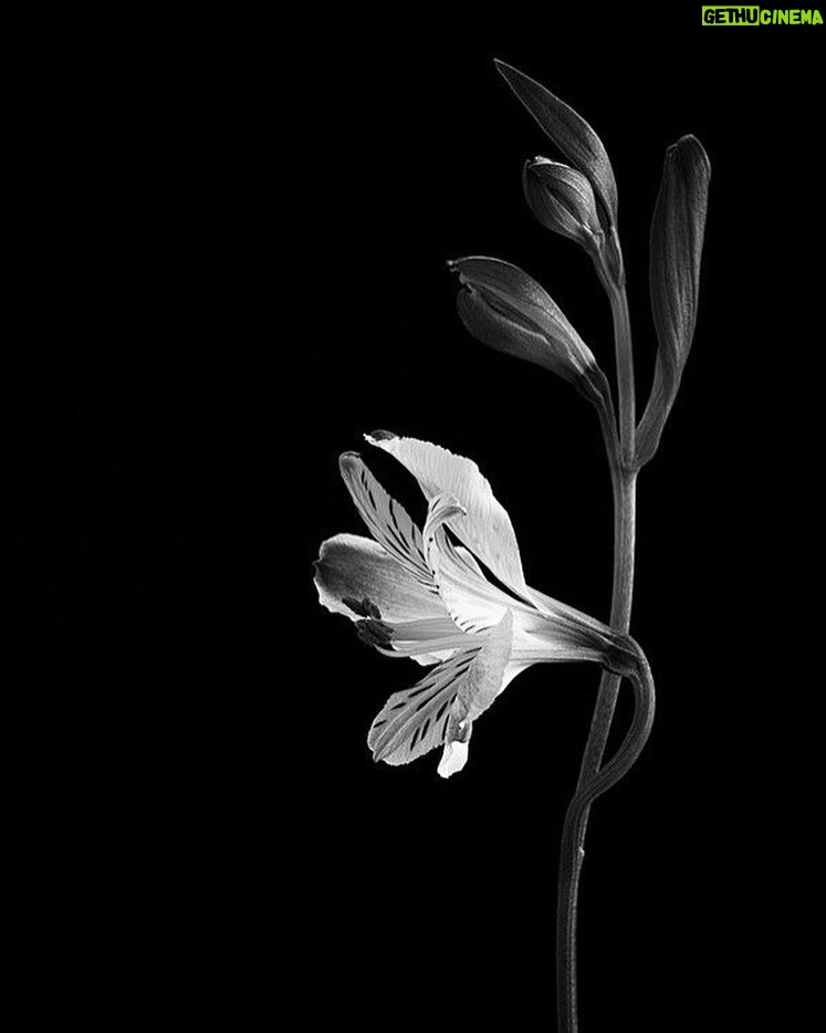 Ashika Yash Instagram - I wanna stand still in these running crowds of this world I wanna slow dance in these regular moves of this world I wanna cling to simplicity in these ever aging complications of this world I wanna stay and walk out in these permanent gestures of rushes of this world I wanna be a translation in those undisputed conversations of this world I wanna hear those unheard conversation in these unuttered feelings of this world I wanna fall for that solidarity hidden in these ever rushing disturbances I wanna resume all that I once felt amid these passing phases of this whole imaginary dream I once dreamt . . . #instawritings #purewords #emotions #poetsofinstagram #writingcommunity #writersofing #writersofinstagram #writings #poetsofinstagram #poetscommunity #poetsofig #introspection #feelings #poets #readthecaption #bold #blogger #vlogger #instablog #instablogger #chennaimodels #chennaimodel #model #artist #youaremorethanablessing #hariteck #beyondblessings #ashikayash Read Caption