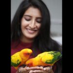 Ashika Yash Instagram - May it be anything u feel Happiness, joy , sorrow , stress , anxiety, love , lust or that excitement . The only thing that’s gonna be with you throughout is just that one voice in your head , it’s your voice . Whatever you do just let it be kind and gentle , as much as you possibly can . Give some sense of humour and maybe a cool accent ♥️✨ . . . Pc : @_akshey_sudhakar_ @akshey_photography ♥️✨ . . #Instagram #instagood #instadaily #instablogger #instaviral #instavlog #instavlogger #tollywood #kollywood #kollywoodcinema #kollywoodactress #tollywoodactress #tamilactress #tamilheroine #teluguheroine #teluguactress #chennaiagainstcaa #reelsindia #lifestyle #hope #viral #trending #love #model #chennaimodels #buddingartist #hariteck #aksheysudhakar #ashikayash
