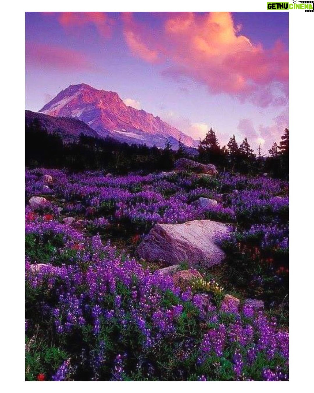 Ashika Yash Instagram - 🌎♥️ And just like that one day I suddenly realised that I'm in love the way I was never before. I was impatient and didn't know how to exfoliate this feeling of emptiness. But I knew the reason. I knew who could help me. Let me get back my calmness. And it was that person I was unconditionally, intensely and passionately in love with. From that day I started crying. Not because he was hurting me anyway but because I was pretty sure our love must be forbidden by a way or other. Did he love me too? Yess, ofcourse he did and he does. But we all have certain limitations and some dilemmas in our lives. Again I have some regulations. Though he accepted and considered me with all of my nos and nevers, he knew he has to go far one day leaving me behind with our so tender "us" alone. May be it’s just not the right time. But still we loved and had created memories together. Is it really necessary to get married to acknowledge this love before the world? And yes we all want to be happy in the end, an orderly life with our family and children. And if it is not what we get then what is the use of the achievements we make. Afterall we are human with all our humane sense. Sometimes I just wanted to Hold the time and make love. Stop the clock for a while to talk. Don't let the sun make an end of this night. Let passion fully explore the world that the universe should take fright. . . Pc : @Pinterest #relationshipgoals #itallstartedwithahello #couplegoals #goals #relationships #couple #relationship #amoureux #explore #motivation #wordsoflove #atlanta #instagood #couples #citationamourdistance #happy #kollywoodactress #tollywoodactress #tamilactress #tamilheroine #teluguheroine #teluguactress #chennaiagainstcaa #lifestyle #hope #viral #trending #love #hariteck #ashikayash Somewhere in Your Heart