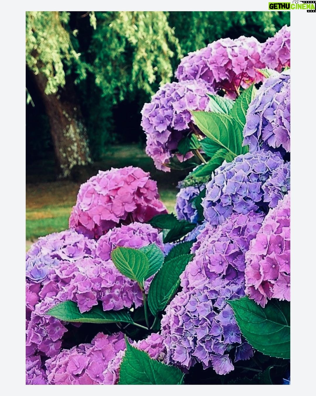 Ashika Yash Instagram - 🌸 Falling for someone. At first, you don't even know it's happening. It all just started with a simple “hello,” and you never would have guessed it would lead to this. Your mind starts to concentrate on that one person, and nothing else. Whenever you see, talk to, or even are near that special someone, those butterflies and that smile appear as your problems seem to disappear. Everything they say or do makes you smile. You just have that happy feeling inside again…💕 . . . #relationshipgoals #itallstartedwithahello #couplegoals #goals #relationships #couple #relationship #amoureux #explore #motivation #wordsoflove #atlanta #instagood #couples #citationamourdistance #happy #kollywoodactress #tollywoodactress #tamilactress #tamilheroine #teluguheroine #teluguactress #chennaiagainstcaa #lifestyle #hope #viral #trending #love #hariteck #ashikayash Somewhere in Your Heart