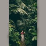 Ashika Yash Instagram - 🍂🍃 . Mobile photography #samsunggalaxy . . Pc : @_akshey_sudhakar_ @akshey_photography ♥️✨ . . #Instagram #instagood #instadaily #instablogger #instaviral #instavlog #instavlogger #tollywood #kollywood #kollywoodcinema #kollywoodactress #tollywoodactress #tamilactress #tamilheroine #teluguheroine #teluguactress #chennaiagainstcaa #reelsindia #lifestyle #hope #viral #trending #blackdress #love #model #chennaimodels #buddingartist #hariteck #ashikayash Wayanad, Kerala