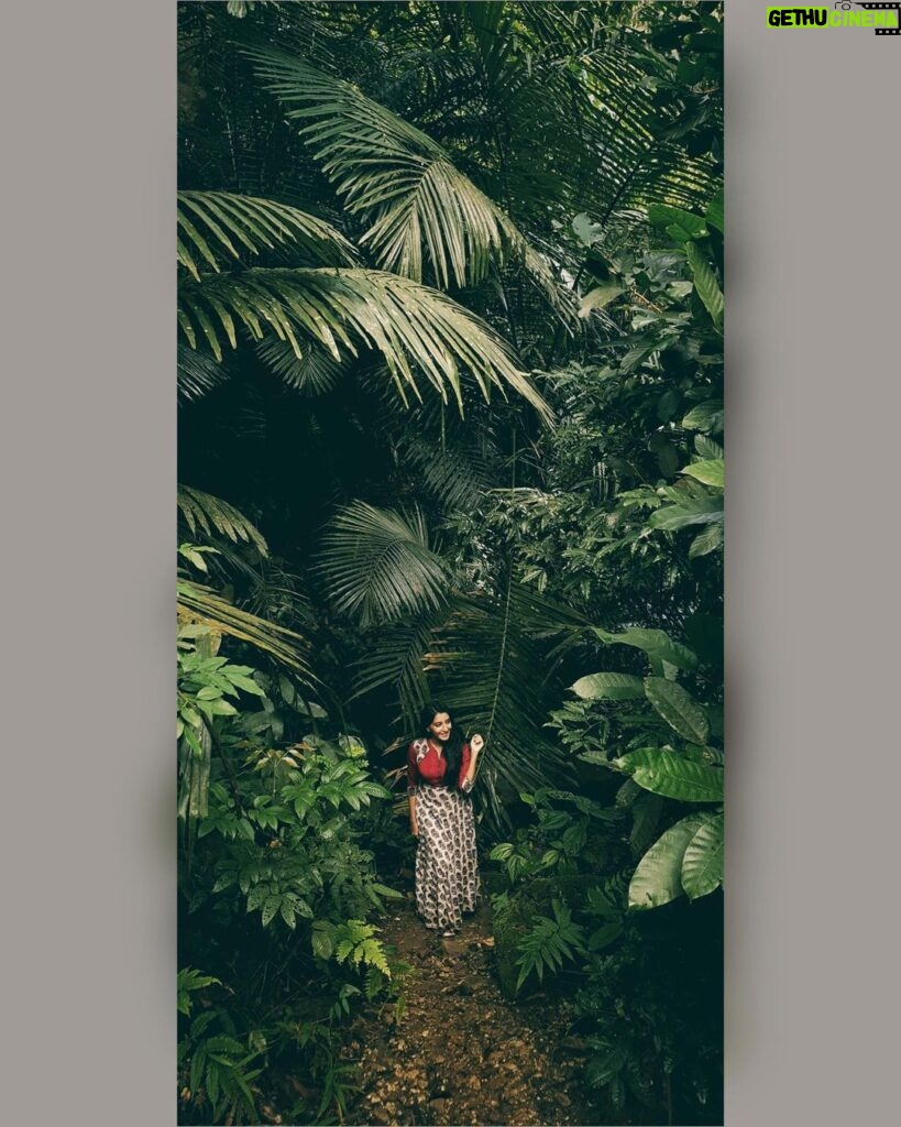 Ashika Yash Instagram - 🍂🍃 . Mobile photography #samsunggalaxy . . Pc : @_akshey_sudhakar_ @akshey_photography ♥️✨ . . #Instagram #instagood #instadaily #instablogger #instaviral #instavlog #instavlogger #tollywood #kollywood #kollywoodcinema #kollywoodactress #tollywoodactress #tamilactress #tamilheroine #teluguheroine #teluguactress #chennaiagainstcaa #reelsindia #lifestyle #hope #viral #trending #blackdress #love #model #chennaimodels #buddingartist #hariteck #ashikayash Wayanad, Kerala