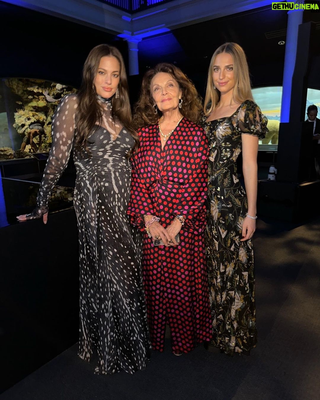 Ashley Graham Instagram - @cfda’s in custom @dvf 🤍 Natural History Museum, NYC