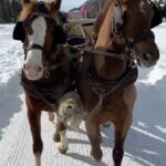 Ashley Graham Instagram - When in Switzerland… St. Moritz, Switzerland
