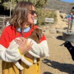 Ashley Tisdale Instagram - mental health hack: hug the nearest baby goat 🐐