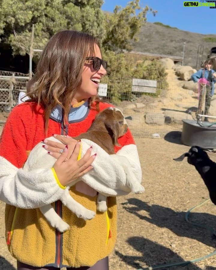 Ashley Tisdale Instagram - mental health hack: hug the nearest baby goat 🐐