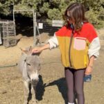 Ashley Tisdale Instagram - mental health hack: hug the nearest baby goat 🐐