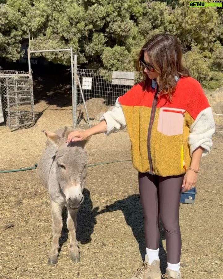 Ashley Tisdale Instagram - mental health hack: hug the nearest baby goat 🐐