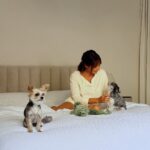 Ashley Tisdale Instagram - Sushi and Ziggy love the camera 😂