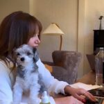 Ashley Tisdale Instagram - @beingfrenshe’s employee of the month 🐶