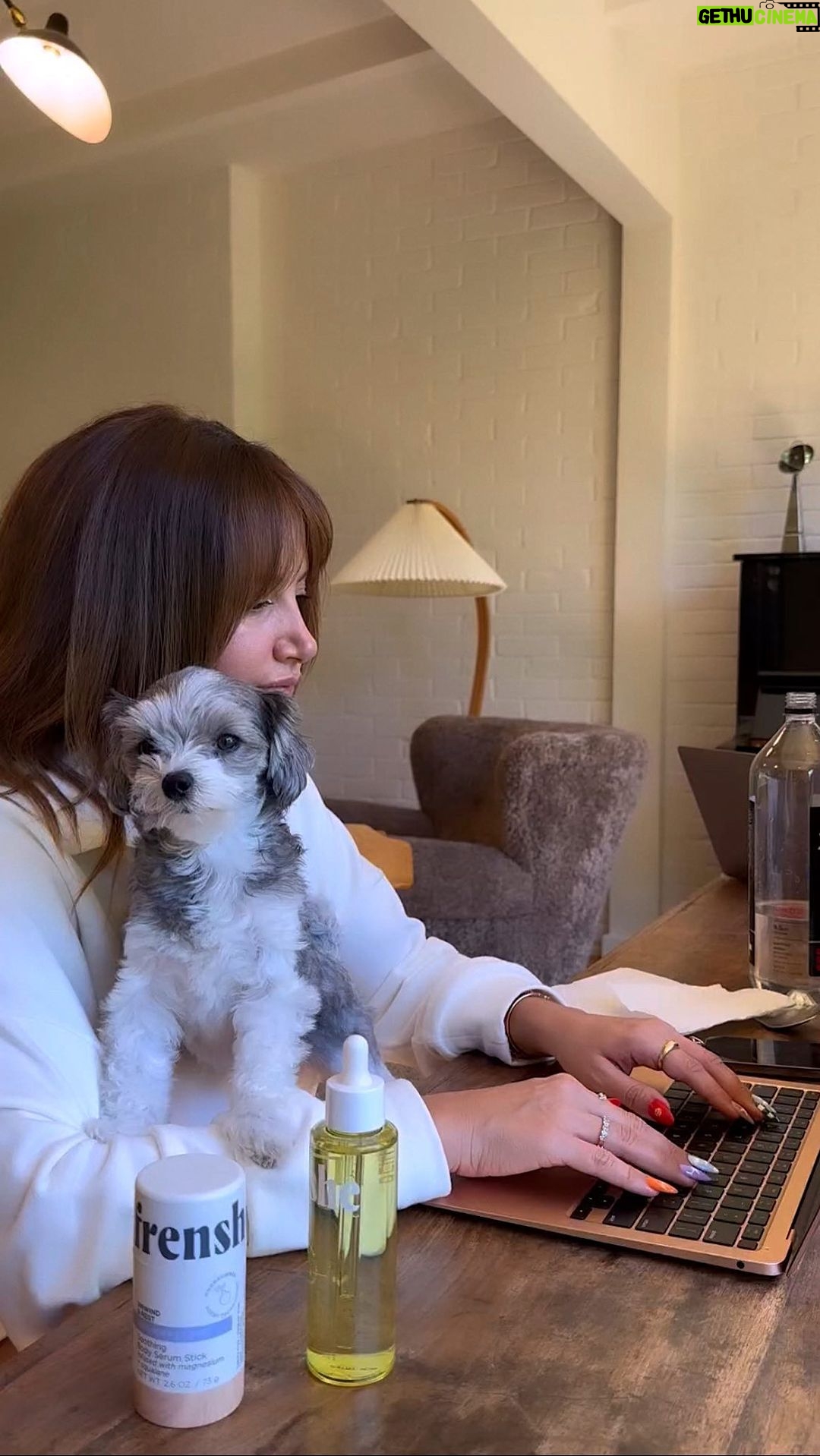 Ashley Tisdale Instagram - @beingfrenshe’s employee of the month 🐶