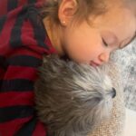 Ashley Tisdale Instagram - It’s Sushi Sue’s birthday 🎉🎂❤️ Sushi you are the most loving dog, You somehow know when one of us needs a little extra love and are always there. I love you so much smoosh 🍣