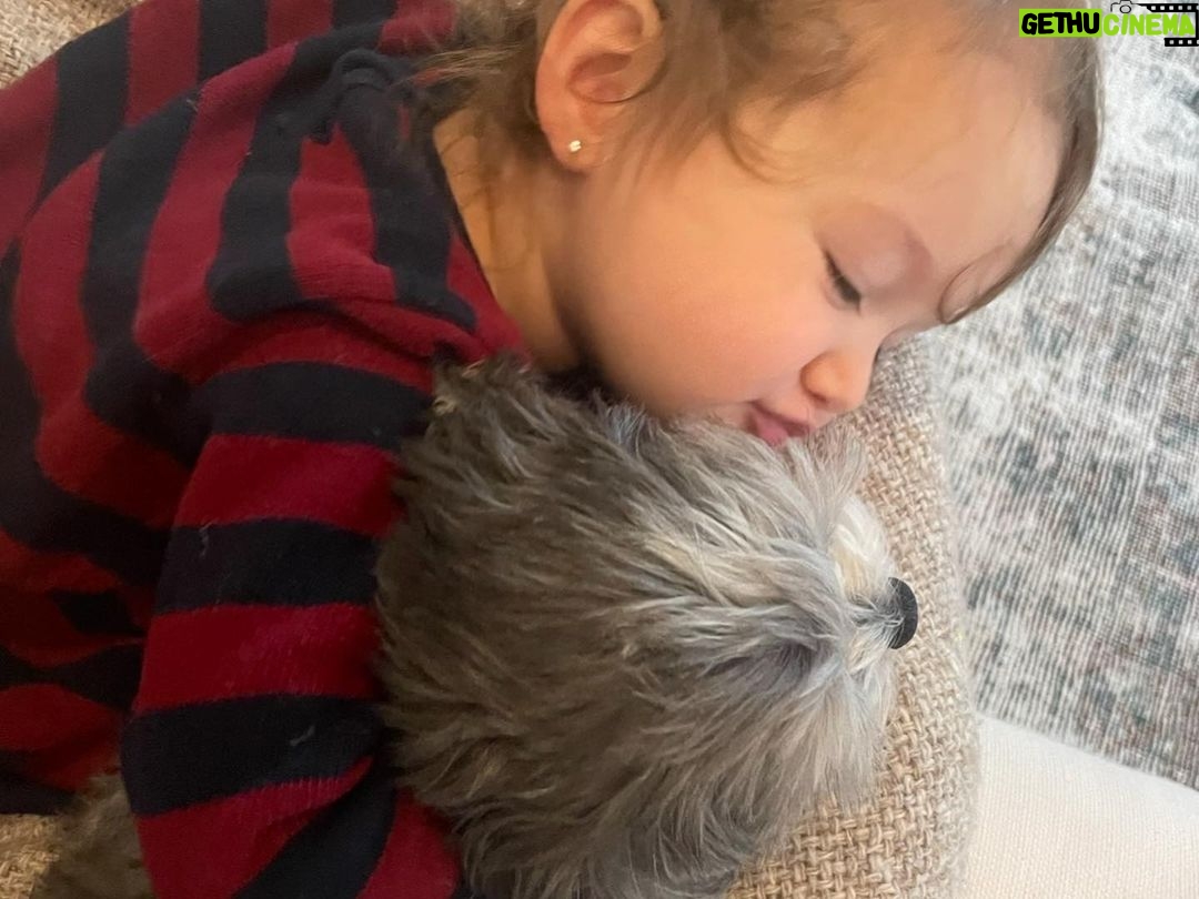 Ashley Tisdale Instagram - It’s Sushi Sue’s birthday 🎉🎂❤️ Sushi you are the most loving dog, You somehow know when one of us needs a little extra love and are always there. I love you so much smoosh 🍣