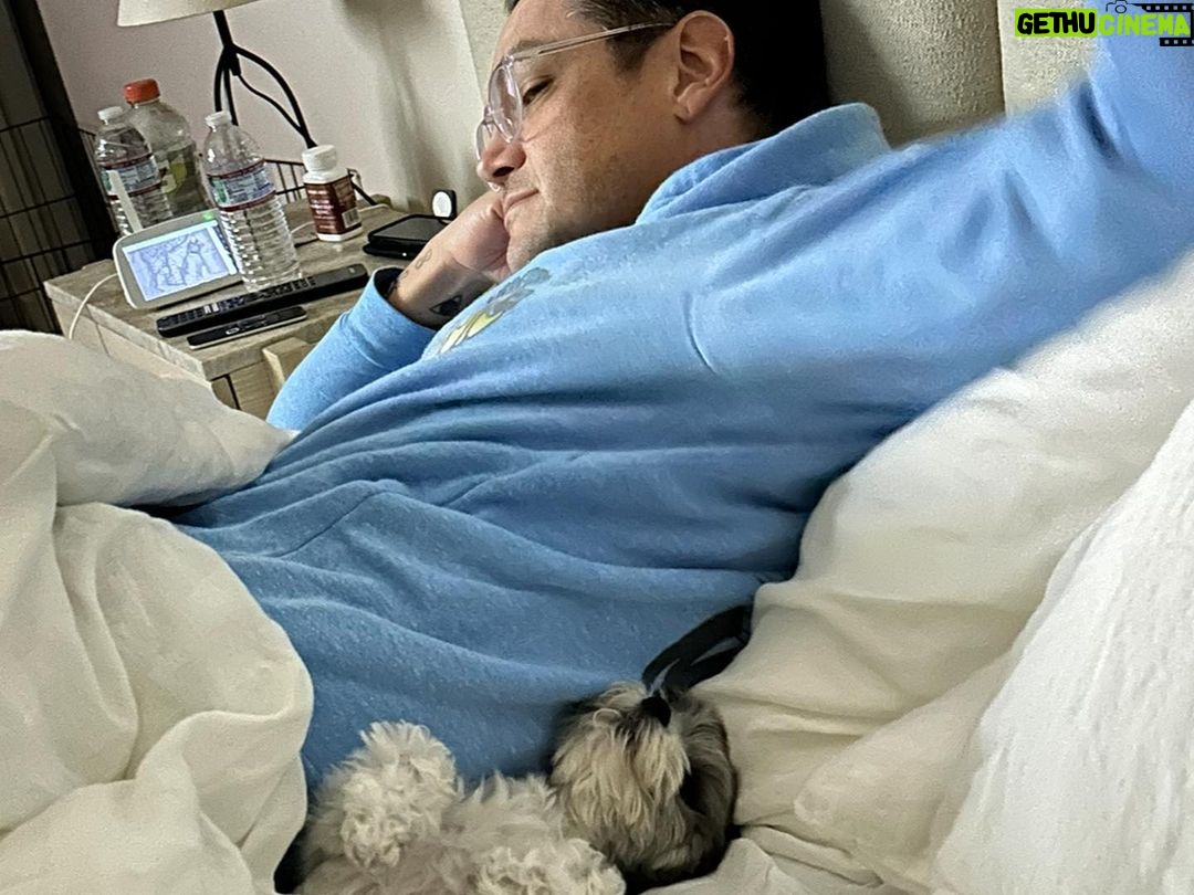 Ashley Tisdale Instagram - It’s Sushi Sue’s birthday 🎉🎂❤️ Sushi you are the most loving dog, You somehow know when one of us needs a little extra love and are always there. I love you so much smoosh 🍣