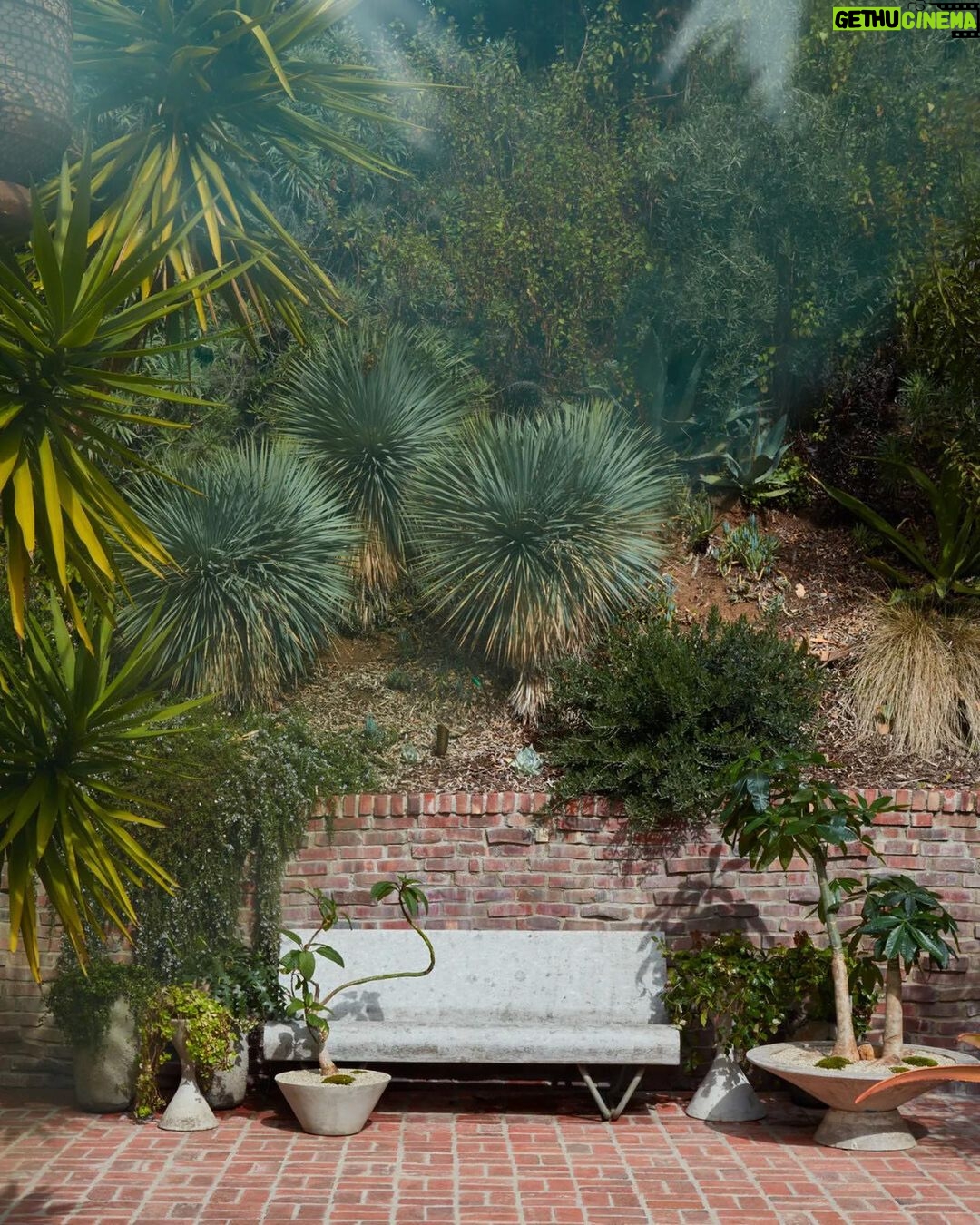 Ashley Tisdale Instagram - Honored to be featured in @archdigest this morning! Thank you @rachelcomplains for such an incredible interview. The two areas of my home that were top of mind when I was designing were my backyard and the @frenshe and @beingfrenshe office, and it was so fun to be able to share my design process. Head to my link in bio to read the full interview 🤍
