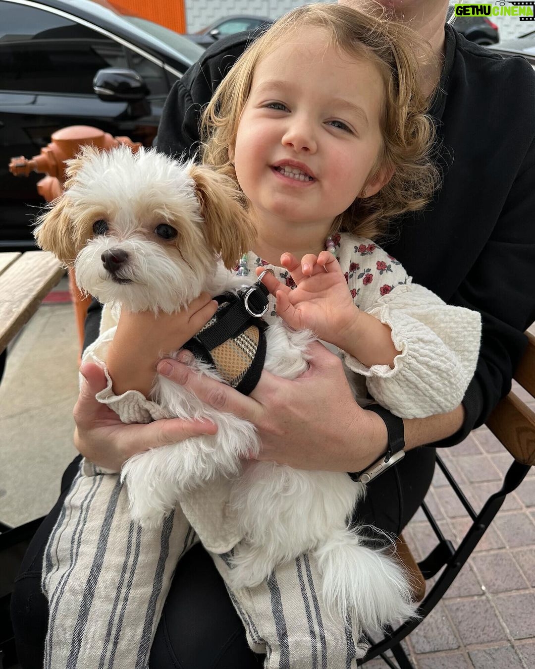 Ashley Tisdale Instagram - A day in the life of Juju 🤍