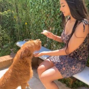 Ashnaa Sasikaran Instagram - Feeding cake to my babies on my 21st bday😌😂 thank you all for your lovely birthday wishes yesterday, feel super blessed and loved!!🥺🥺 genuinelyyyyy forever grateful for the constant love and support, and hope my adorable pups bless your feed today😅 (haven’t posted something other than music for a long while😂) xx

And thank you Amma for stitching me my beautiful dress🥺 @vani.sasikaran xx 

📸: @veenaa_s 😘

Also cream cake >>> any other type of cake, am I right or am I right ?!?!