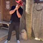 Ashton Irwin Instagram – Roll on babe Joshua Tree, California