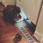 Ashton Kutcher Instagram - Work really begins the moment you get home. Fix the refrigerator ✔️