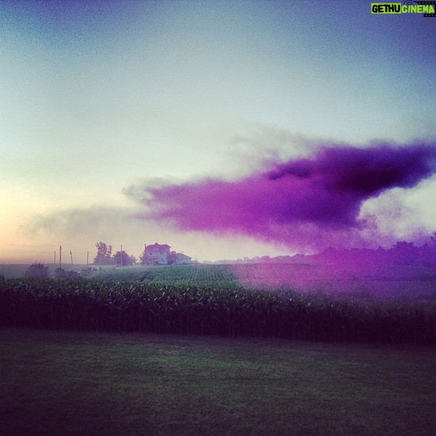 Ashton Kutcher Instagram - Purple haze on the farm