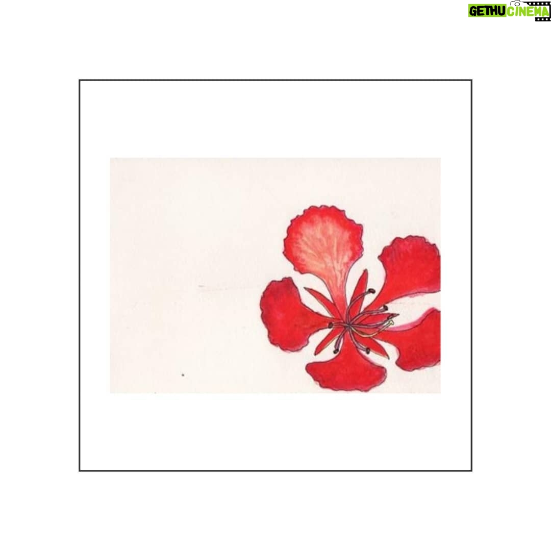 Aswathi Menon Instagram - For both my Mama and I the Gulmohar flowers are... 'One of most beautiful sights and smells of this season is the gentle drizzle of rain, dampened earth and the wet petals of Gulmohar flowers strewn on the asphalt road. Midst the gray weather and grey asphalt lie hundreds of scarlet lives. They not only seem alive but brings everything around to life'. (excerpt from Corita Kent) #mymamasbirthday