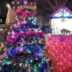 Aswathi Menon Instagram - Merry Christmas ! #christmas2022 #allaboutlastnight #aswathimenon #lifeofanartist
