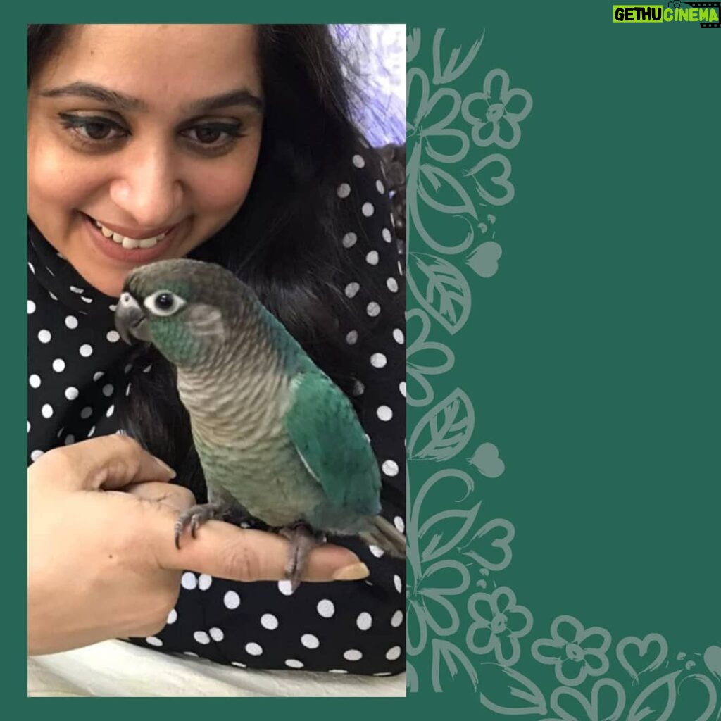 Aswathi Menon Instagram - She fluttered on to my finger to make me believe, the bird spirit animal, signifying indomitable spirit and the ability to rise above adversities... . . #believeinyourself #believe #motivation #love #nevergiveup #loveyourself #inspiration #selflove #life #success #positivevibes #goals #fitness #quotes #mindset #beyourself #happiness #positivity #lifestyle #dreambig #yourself #happy #selfcare #faith #inspire #lifeofanartist #aswathimenon