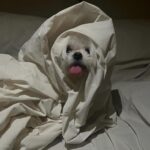 Atthaphan Phunsawat Instagram – 🤍