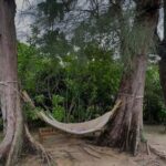 Atthaphan Phunsawat Instagram –