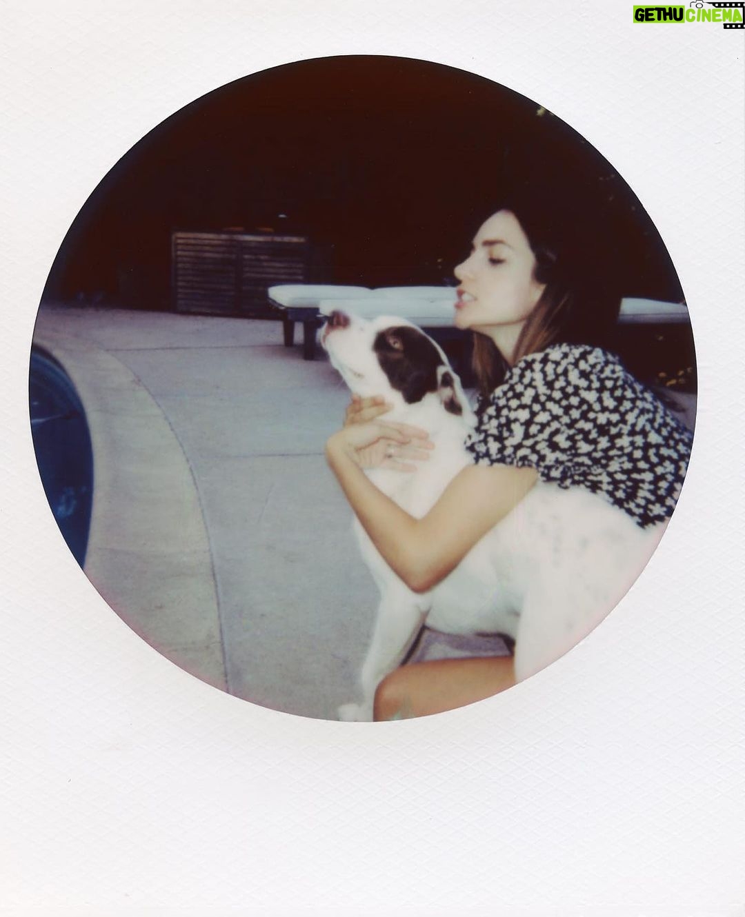 Aurora Ruffino Instagram - Polaroid @redrabbitshoots ♥️ #polaroid #pics #love
