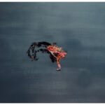 Austin Amelio Instagram – Matador #4 

Oil