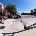 Austin Amelio Instagram - Some ones that slipped through the crack. Got to film this part with my fucking best friend @maxtaylor43psi thanks for everything dude! We went through the trenches together. Check out ‘Sucker Punch’ @rogerskateco new skate vid up on YouTube.