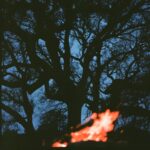 Austin Amelio Instagram - Fire in Mason. SOLD #mediumformat For Sale. dm for inquiries.