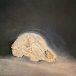 Austin Amelio Instagram - Opossum skull Oil
