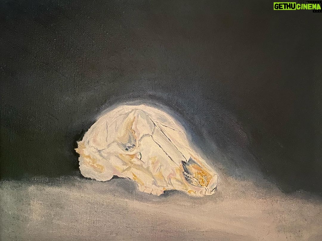 Austin Amelio Instagram - Opossum skull Oil