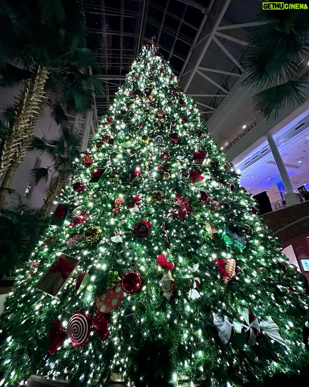 Austin Mahone Instagram - Let it go ❄️ Opryland Hotel Nashville