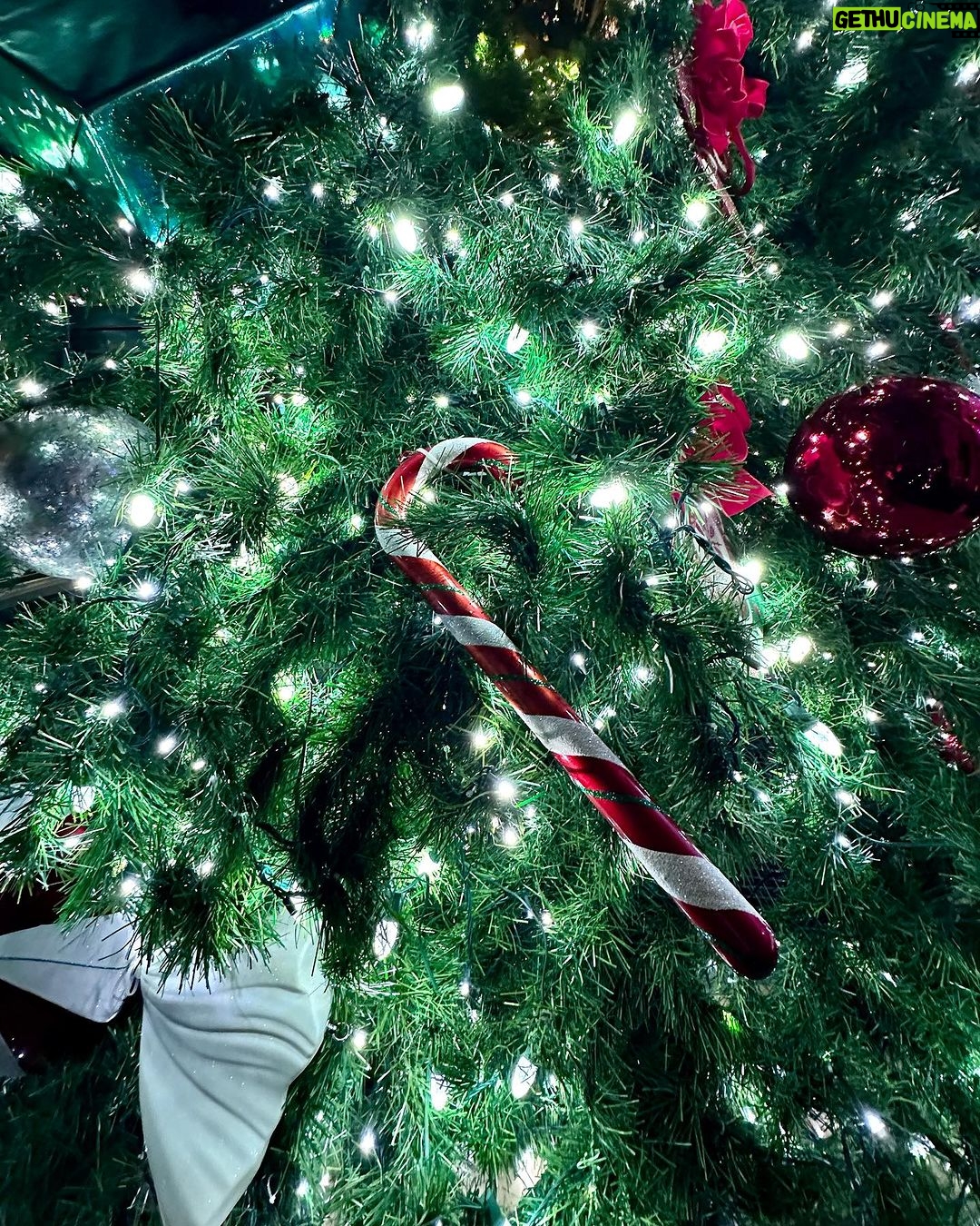 Austin Mahone Instagram - Let it go ❄️ Opryland Hotel Nashville